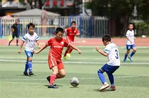 摩纳哥球星,南野拓实遭,遇重大伤病,皇冠,皇冠体育,Crown,皇冠体育官网