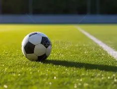 欧洲揭示,犬类自我认,现象,皇冠,皇冠体育,Crown,皇冠体育官网